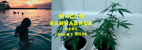 spice Инта