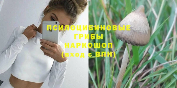 прущие грибы Иннополис