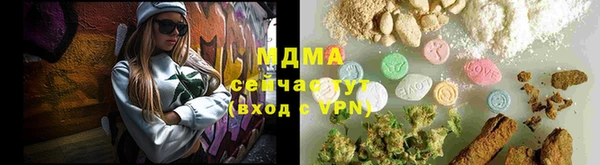 spice Инта