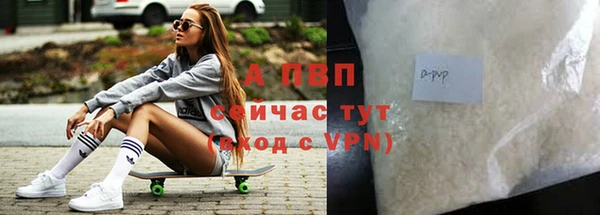 spice Инта