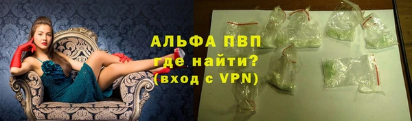 прущие грибы Иннополис