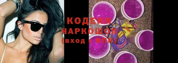 spice Инта