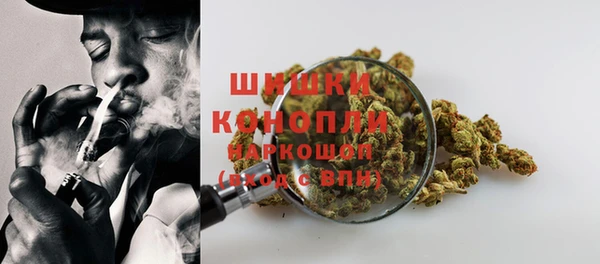 прущие грибы Иннополис
