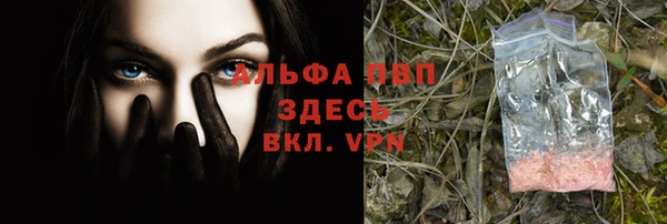 прущие грибы Иннополис
