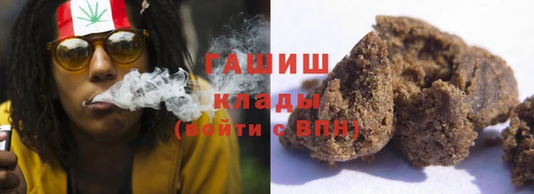 spice Инта
