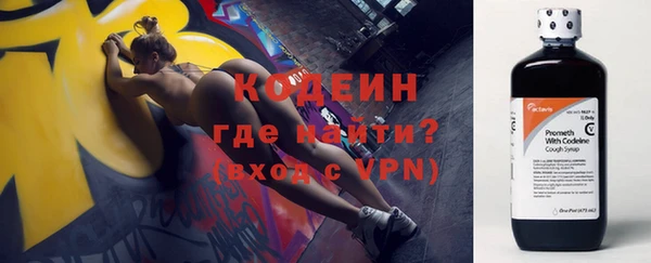прущие грибы Иннополис