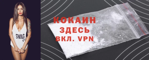 spice Инта
