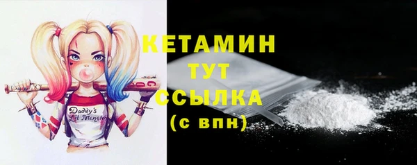 spice Инта