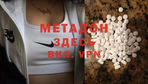 прущие грибы Иннополис