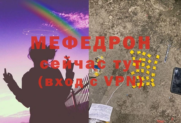 spice Инта