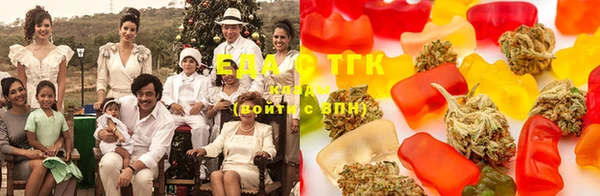 spice Инта