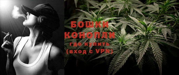 spice Инта