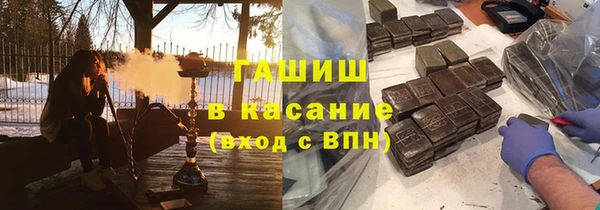 прущие грибы Иннополис