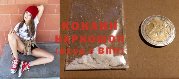 spice Инта
