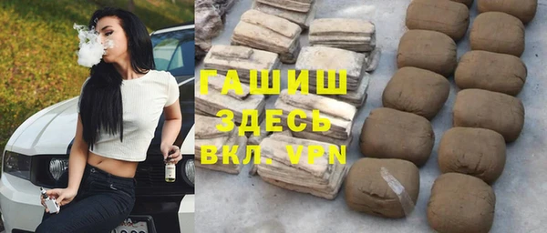 spice Инта