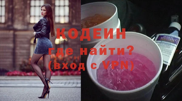 прущие грибы Иннополис