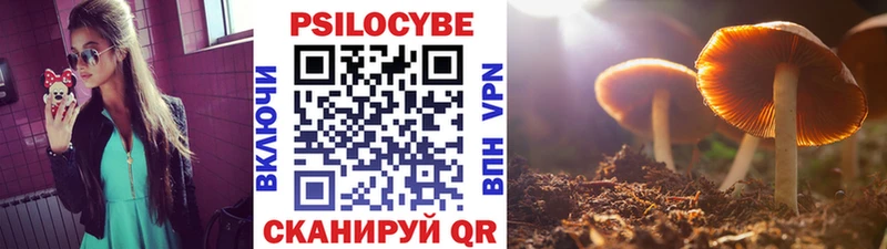 Псилоцибиновые грибы ЛСД  Купить закладки  Искитим 